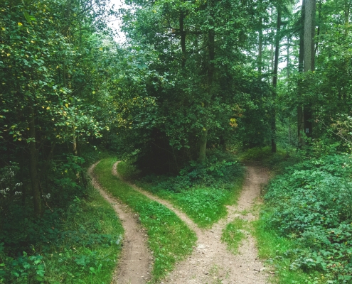 mediation vs therapy